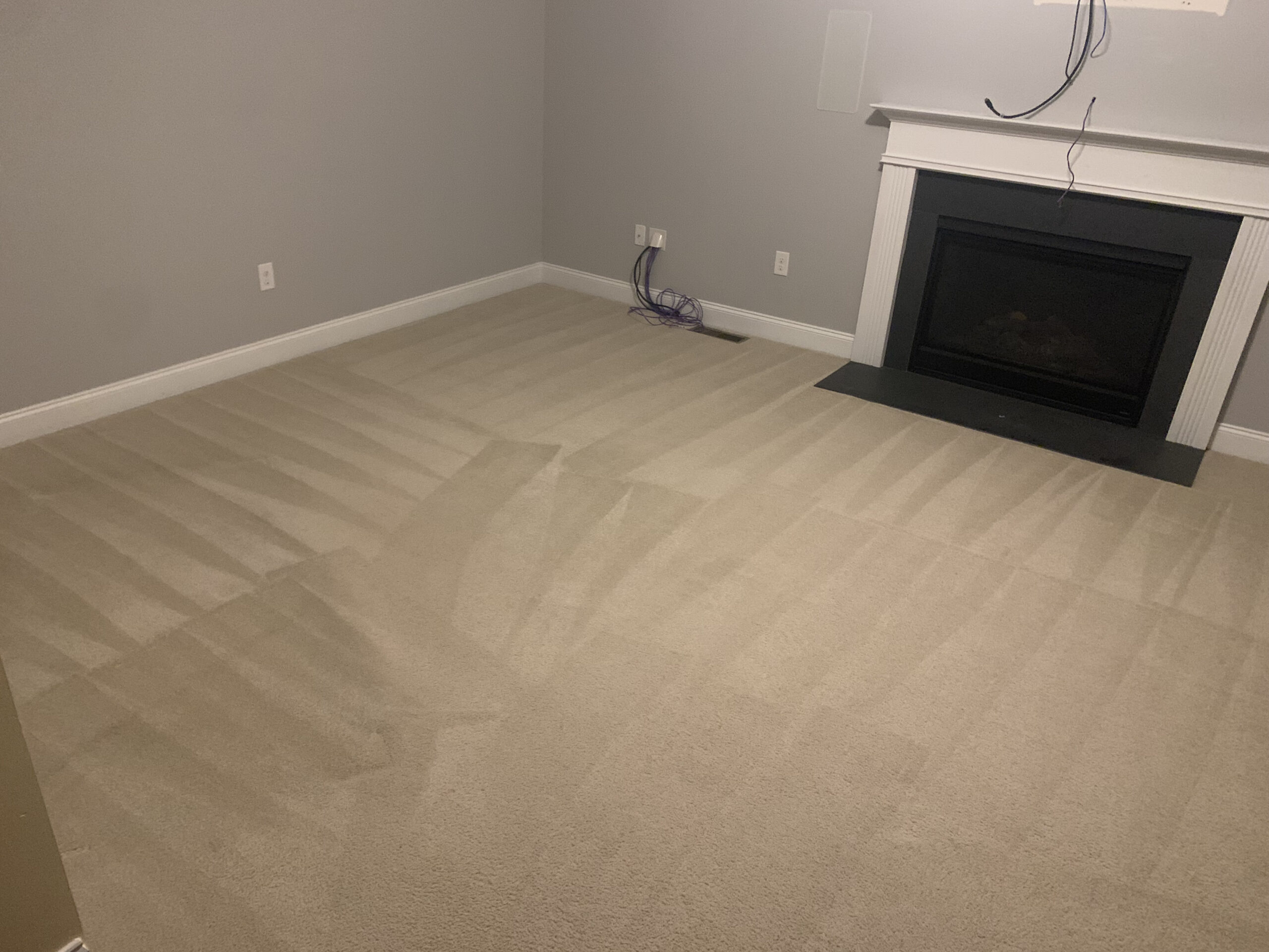 carpet cleaning in boston