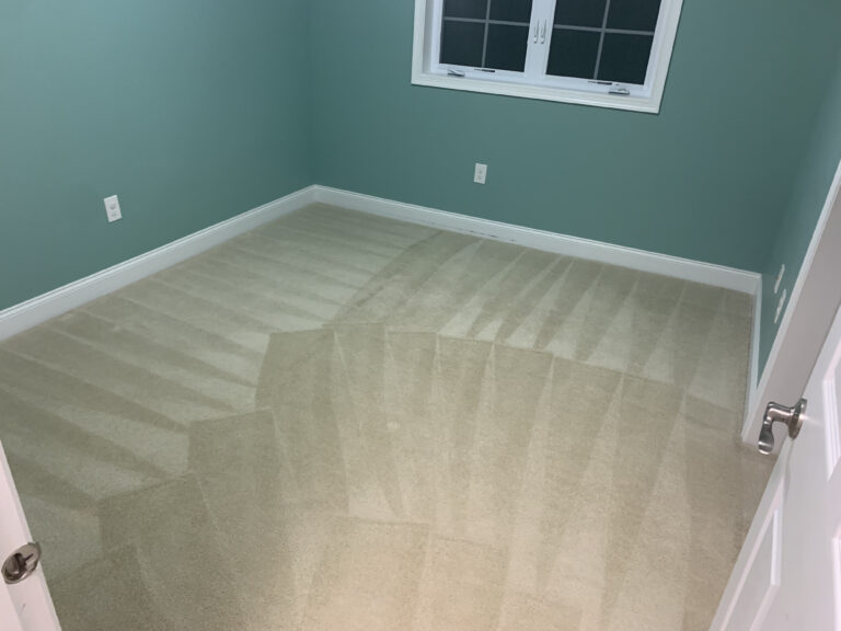 Carpet cleaning boston